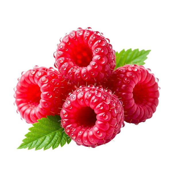 Fresh Red Raspberries
