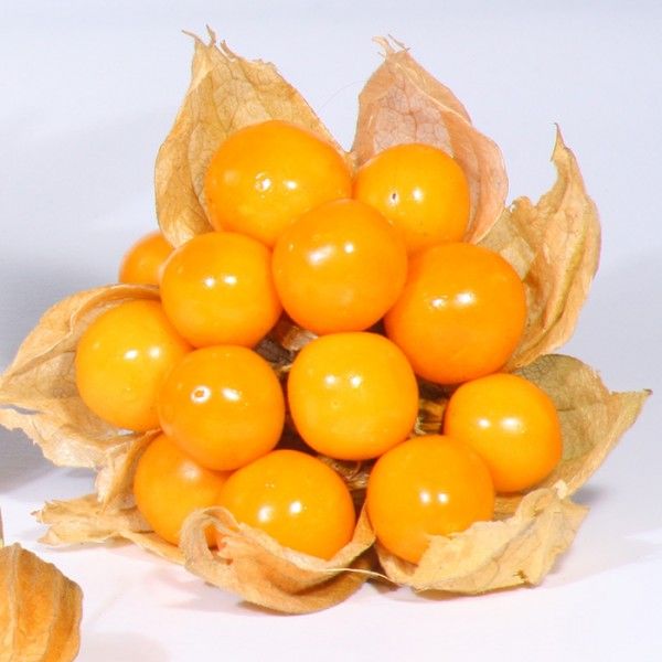 Fresh Gooseberries