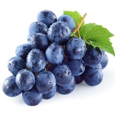 Fresh Blueberries