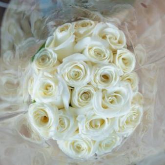 White Roses Flowers