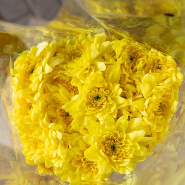 Yellow Flowers