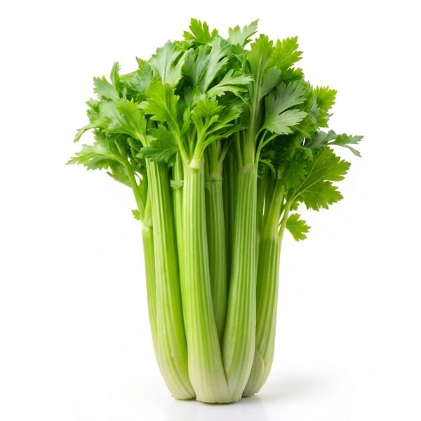 Fresh Celery 1kg