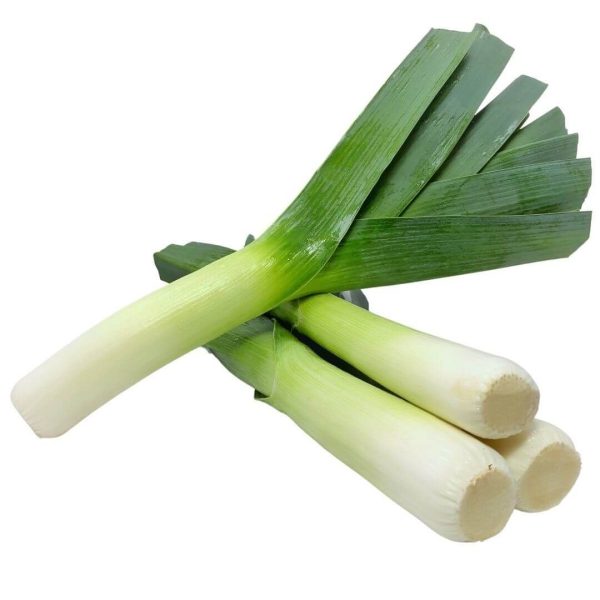 Leek Ocean Mint Onion 500G