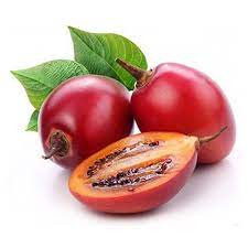 Fresh Tree-Tomatoes 1kg