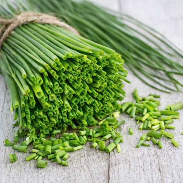 Fresh Green Onions -Bunch